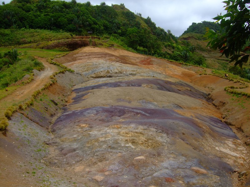 Mauritius 2010 - 0294 